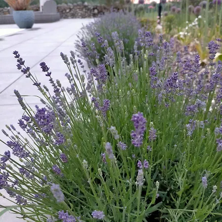 Πανσιόν Chateau De Heaas 3*