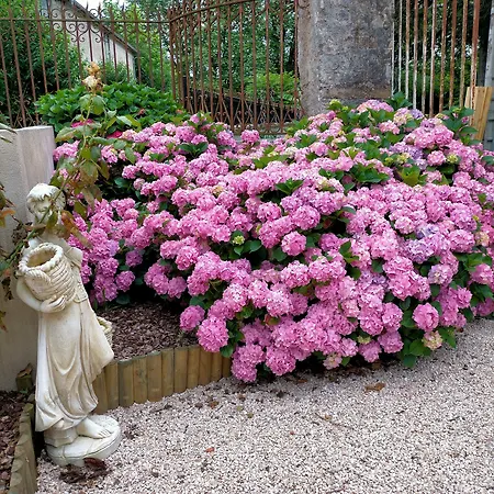 Chateau De Heaas Πανσιόν 3*