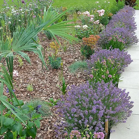 Chateau De Heaas 3* Feas