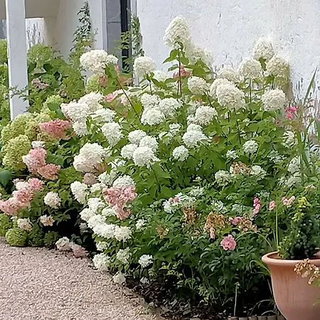 Πανσιόν Chateau De Heaas