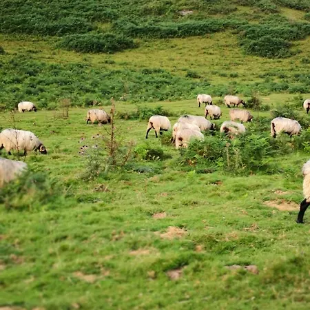 Chateau De Heaas Πανσιόν