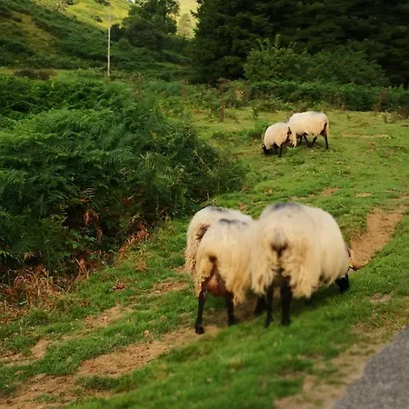 Chateau De Heaas Πανσιόν 3*