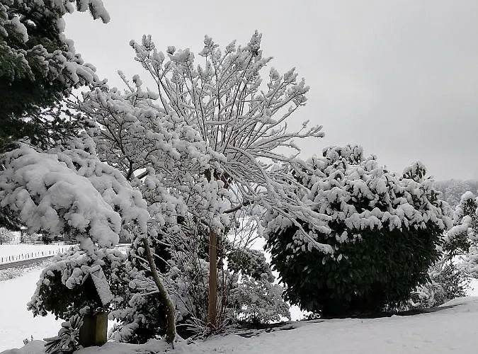 בית הארחה Chateau De Heaas 3*