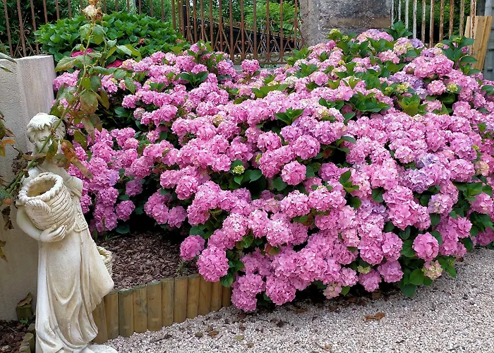 Chateau De Heaas בית הארחה 3*