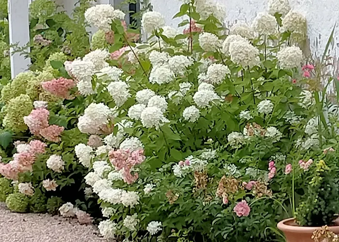 בית הארחה Chateau De Heaas