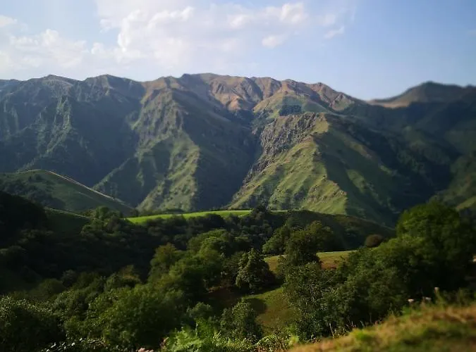 בית הארחה Chateau De Heaas