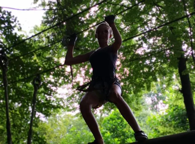 בית הארחה Chateau De Heaas 3*