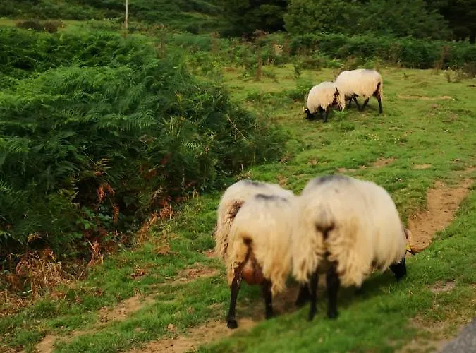 Chateau De Heaas בית הארחה 3*