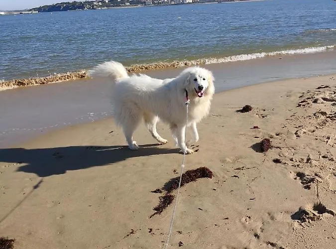 בית הארחה Chateau De Heaas 3*